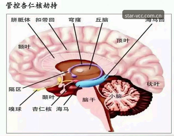 赛事数据的底层逻辑——中国创想VCC5迭代版实用解读